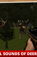 Deer Sniper Hunt (2)