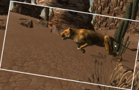 Lion Hunting Sniper Challenge screen shoot 4 Rangii Studio