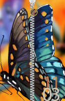 Butterfly zipper HD (2)