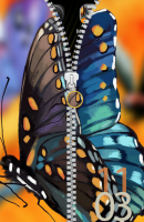 Butterfly zipper HD (3)