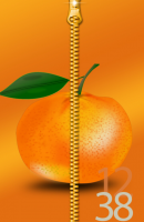Orange Zipper Lock (1)