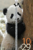 Panda Zipper Lock Screen