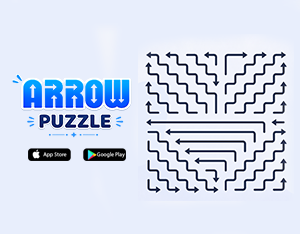 Arrow Puzzle Game